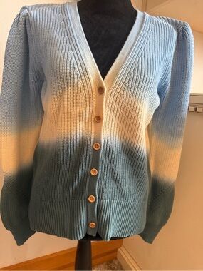Boston Proper L Sweater Ombré Knit